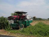 Tractors in India