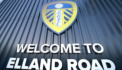 Leeds United: Red Bull buys minority stake in club - but name won't change