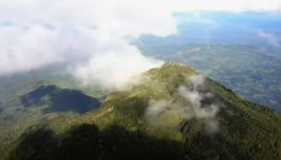 Cómo es la “isla en el cielo”, el curioso bosque de África que fue hallado hace apenas 20 años