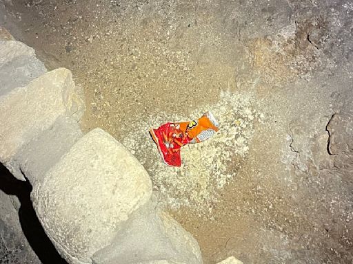 Dropped Cheetos bag in national park unleashes an army of critters