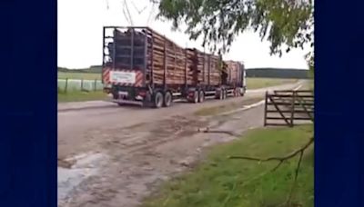 "Se agotó la paciencia con estos atrevidos": intendente Olivera apuntó contra UPM tras mostrar camiones que pasan por camino pese a las lluvias