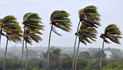 Emiten nueva alerta naranja por vientos fuertes en cinco departamentos