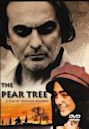 The Pear Tree