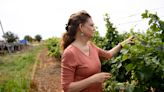 Bingham Family Vineyards, Farms shares how it began in Meadow, Texas