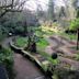 Plantation Garden, Norwich