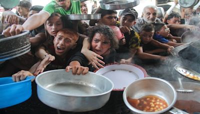 Food supplies to Gaza fall as Israel sets new aid rule: Report