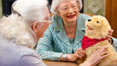 Robot cats, dogs and birds are being deployed amid an 'epidemic of loneliness'