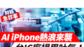 財經急診事-20240618／AI iPhone熱浪來襲 台IC廠揚眉吐氣！ - 理財周刊