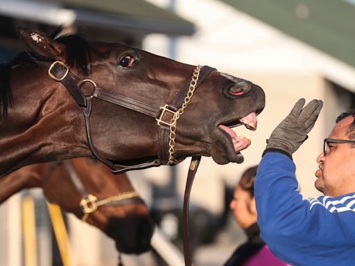 Just a Touch jockey, trainer, odds and more to know about Kentucky Derby 2024 horse