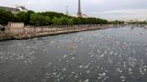 Paris mayor is confident that water quality will allow Olympic swimming in the River Seine