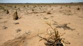 Don't think of deserts as wastelands, researchers say, but as a key to our climate future