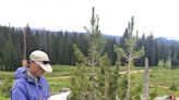 Whitebark pines are in trouble. That means our water supply is, too