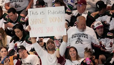 Arizona Coyotes fans named most loyal in NHL after team's relocation to Utah