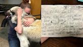 Abandoned Tennessee Dog Found With Heartbreaking Letter Reunited With Owner