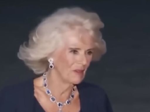 Queen Camilla Signals Royal Seal Of Approval For Netflix Hit