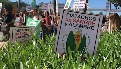 La polémica plantación de pistachos de Madrid: Ayuso tramita varias multas y el Gobierno sanciona al Ayuntamiento que le permite regar