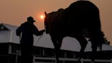 Belmont Park reopens for racing as air quality improves