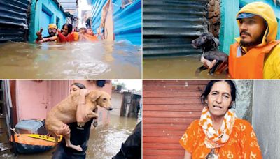 Woman and 15 pets saved from flooded home in Pune