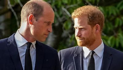 It’s telling Harry didn’t see Prince William on last UK visit – it shows the relationship is troubled, royal expert says