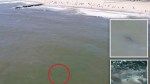 Shark sightings shut down NYC beach as drone video shows predators lurking below surface