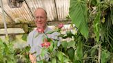 Meet the 'orchid whisperer' for Bay Area elites