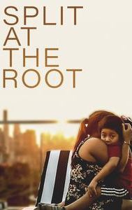 Split at the Root