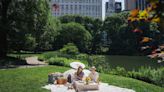 Is This the Most Expensive Picnic in Central Park?