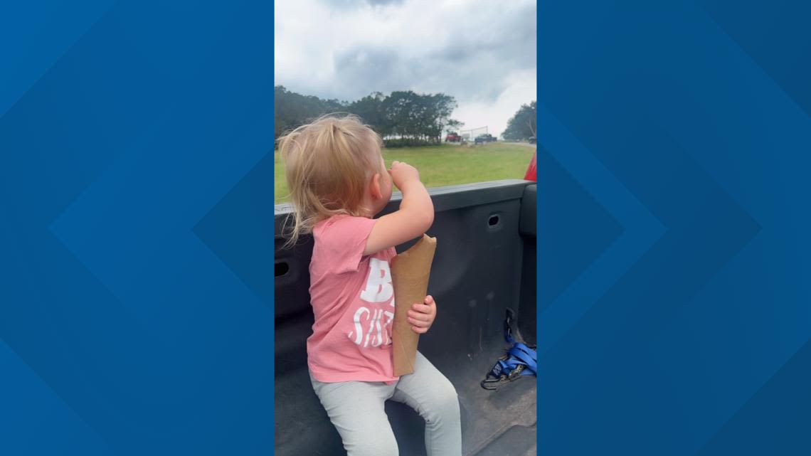 Video goes viral of giraffe lifting Texas toddler mid-air at drive through safari