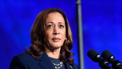 Kamala Harris said Trump's remarks, where he said she 'happened to turn Black,' were 'the same old show' of disrespect