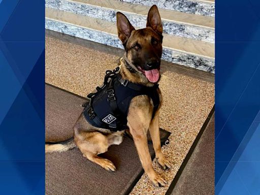 Jeannette K-9 unit terminated effective immediately