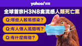 廣東錄全球首宗H3N8禽流感人類死亡個案 一文睇清人傳人風險、病徵、治療方法