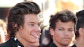 Louis Tomlinson Seemingly Responded To The Fan Theory That He And Harry Styles Were Secretly In A Relationship