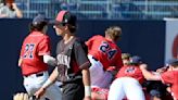 Indiana’s 1st appearance in PIAA baseball finals ends with walk-off loss to Holy Ghost Prep | Trib HSSN