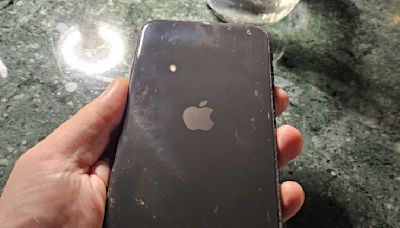 An iPhone without camera? A Reddit user claims it exists!