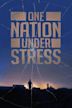 One Nation Under Stress