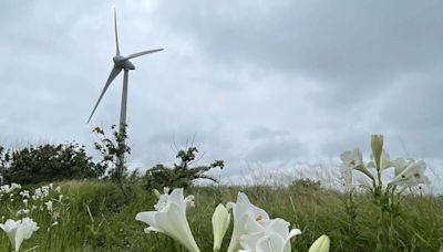 緊鄰風機 後龍公所盼於好望角建置能源教育館