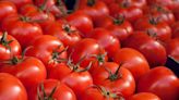 莫忘新疆奴工》美國全面禁止新疆產品進口 台灣企業卻仍標榜使用新疆番茄
