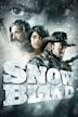 Snowblind (film)