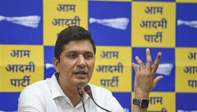 Delhi govt directs private, state-run hospitals to submit fire audit report by June 8: Health Minister Saurabh Bharadwaj