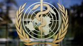 Global pandemic treaty talks stall as nations clash over emergency response plans