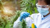 DEA Ditches High-Level Federal Health Meeting On Cannabis Research: Another Expression Of Distaste For Cannabis Rescheduling?