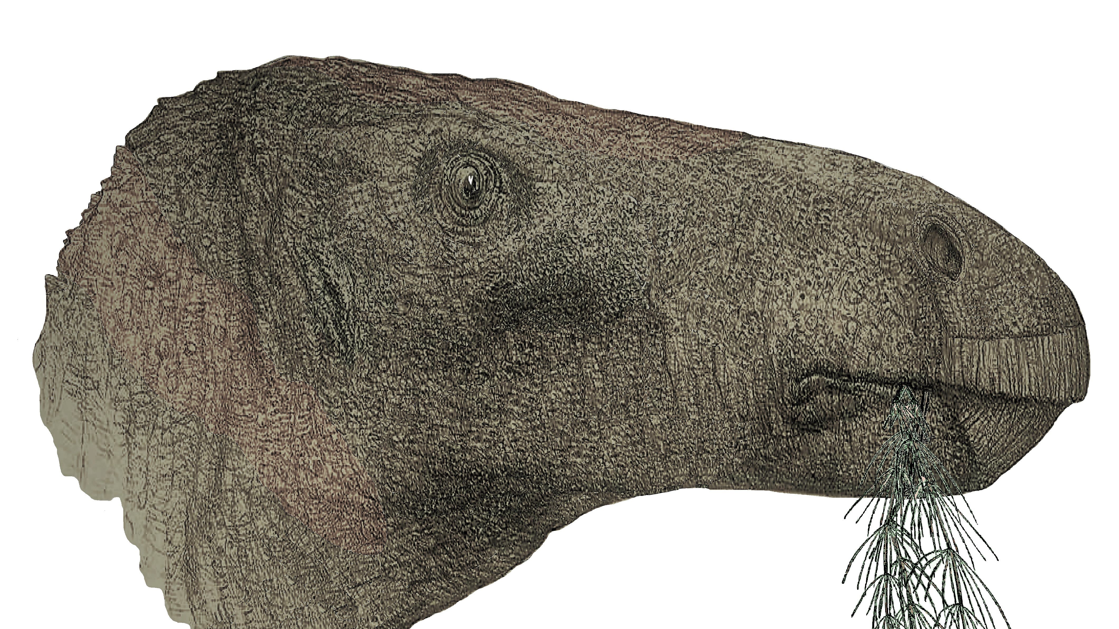 ‘Most complete dinosaur’ in a century unearthed in the Isle of Wight