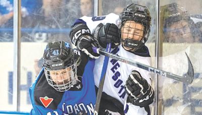 First-year Professional Women’s Hockey League takes advantage of heightened interest in women’s sports