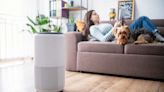 Best Budget Air Purifiers: 3 Affordable Options for Allergies, Pet Hair & More – Starting at $48