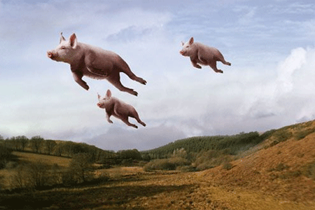 flying-pigs.png?w=560