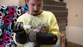 'Does my heart good': A peek into wildlife rehabilitation in southern Utah