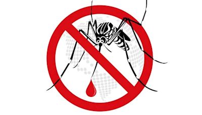 World Malaria Day 2024: 10 Signs and Symptoms Of Malaria