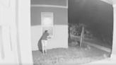 Deputies: Prowler caught on camera peeking into a DeBary woman’s window arrested again