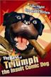 Late Night with Conan O'Brien: The Best of Triumph the Insult Comic Dog