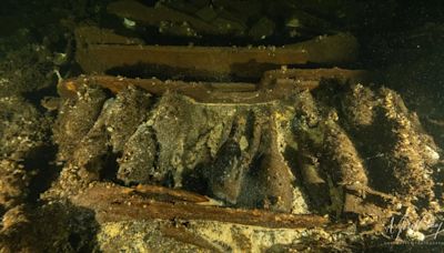 Un grupo de buceadores encontró un impresionante botín de botellas de champagne en un barco hundido del siglo XIX